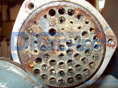 ����������ϴǰ